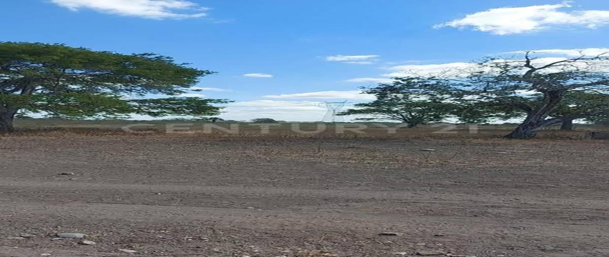 Foto de terreno habitacional en venta en  , gonzález [ejido], gonzález, tamaulipas, 0 No. 05